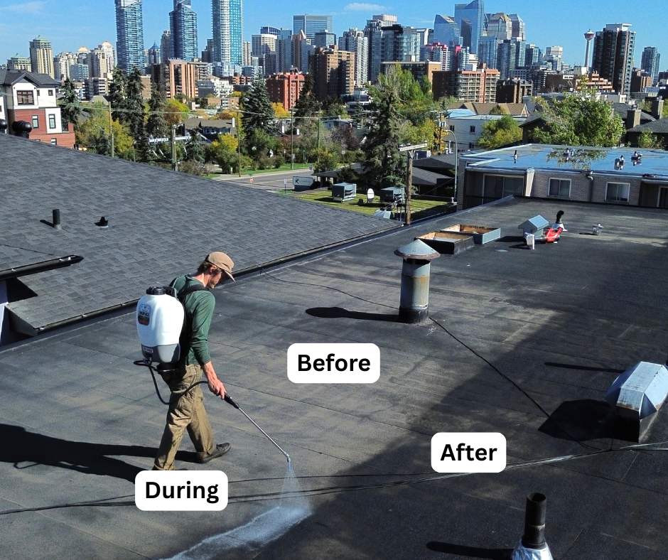 Commercial flat roof rejuvenation in progress with downtown skyline